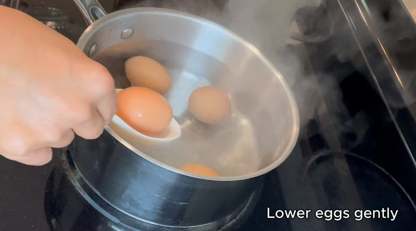 screenshot 2026 04 12 075144